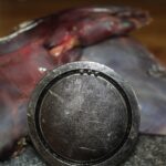 Detailfoto eines Jagdmagneten mit festhaftenden Schrotkugeln, eingesetzt zum sicheren Auffinden von Metallresten im Wildbret.