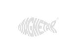Magnetangeln & Magnetfischen